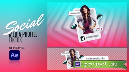 Videohive - Social Media Profile - TikTok - 48110362 - Project for After Effects
