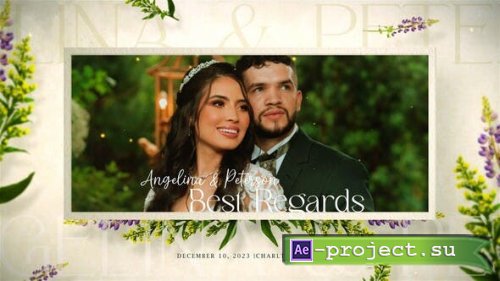 Videohive - Wedding Invitation Slideshow | Instagram Version - 48121803 - Project for After Effects