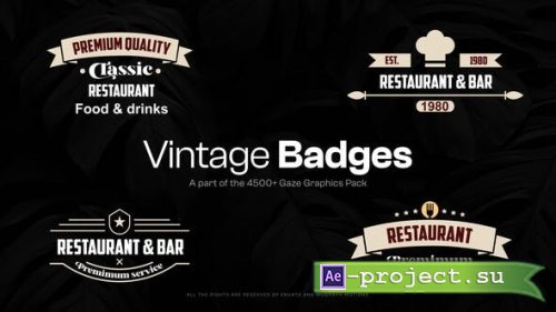Videohive - 15 Vintage Badges - 48321856 - Project for After Effects