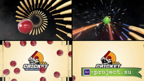 Videohive - Cricket Logo Reveal - 48450688 - Project for After Effects