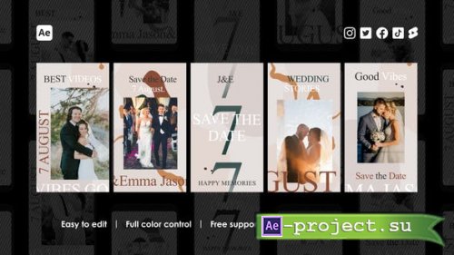 Videohive - Vintage Wedding Instagram Reels - 48695010 - Project for After Effects