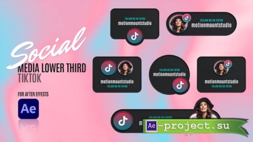 Videohive - Social Media Lower Thirds - TikTok - 48801814 - Project for After Effects