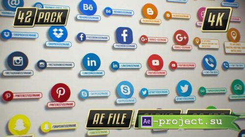 Videohive - Animated Social Media Icons Pack with Lower Thirds - 21795251 - Project for After Effects