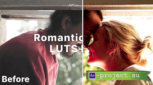 Romantic Wedding Luts 1941485 - Premiere Pro Presets