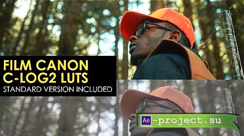 Film Canon C-Log2 And Standard Luts 1001749 - After Effects Presets