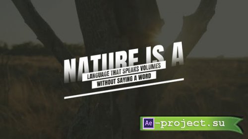 Videohive - Text Animation - 48999905 - Project for After Effects