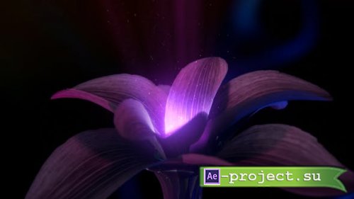 Videohive - Mysticical Flower Logo - 25276390 - Project for After Effects