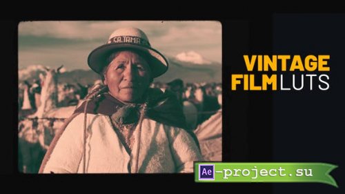 Videohive - Vintage Film LUTs - 49447176 - DaVinci Resolve LUTs