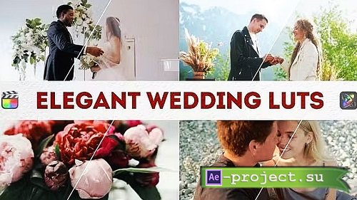 Videohive - Elegant Wedding LUTs 49623430 - Project For Final Cut & Apple Motion