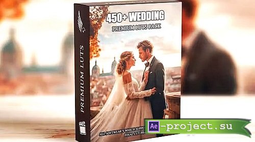 Videohive Premium Wedding LUTs Mega Bundle: Over 450 Professional Color Grading LUTs