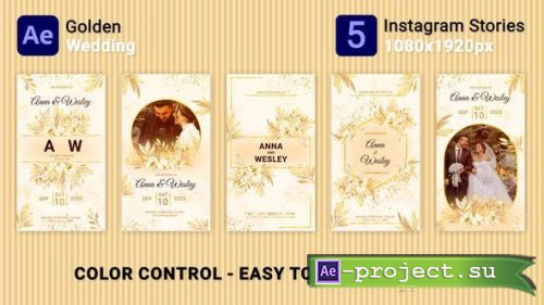 Videohive - Golden Wedding Instagram Stories - 47533457 - Project for After Effects