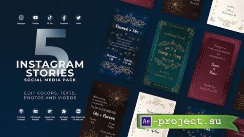 Videohive - Wedding Invitation Instagram Vertical Stories - 49825058 - Project for After Effects
