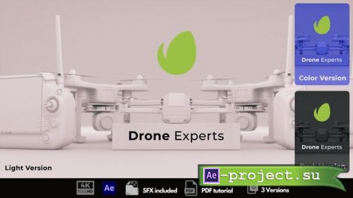 Videohive - Drone Logo Reveal - 49830916 - Project for After Effects