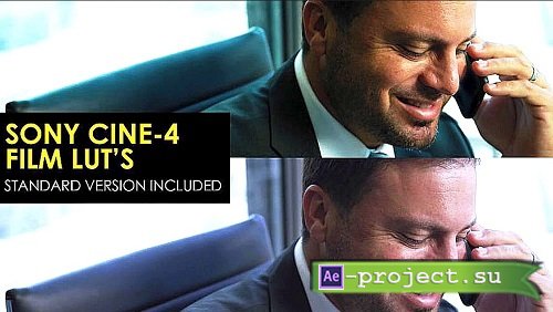 Sony Cine-4 Film And Standard Luts 1021393 - Premiere Pro Presets