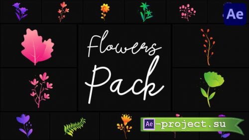 Videohive - Flowers Pack for After Effects - 50689716 - Project for After Effects