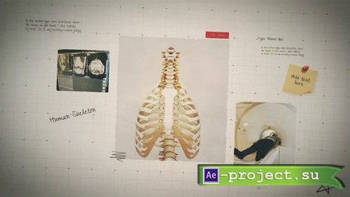 Videohive - Science Project Presentation - 50803825 - Project for After Effects