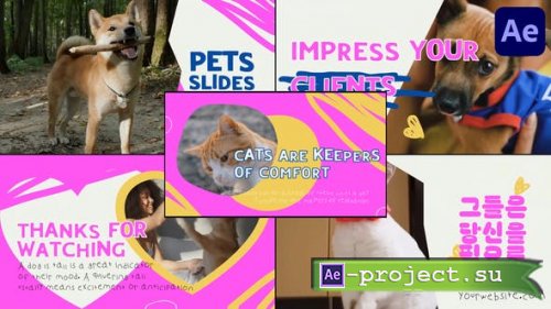 Videohive - Slides Pets | After Effects - 50806866 - Project for After Effects
