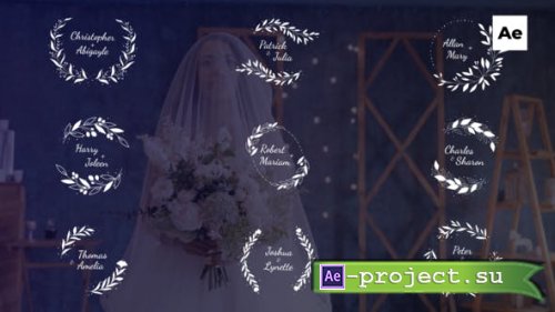 Videohive - Wedding TItles - 50850401 - Project for After Effects