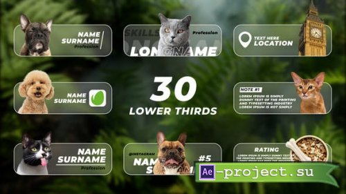 Videohive - Lower Thirds with Photo or Video - 48652643 - Project for After Effects
