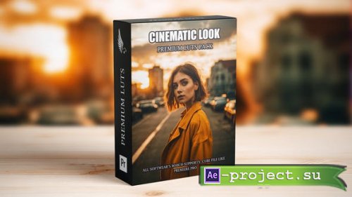 Videohive - Hollywood Streetscape LUTs: Cinematic Urban Elegance Video Pack - 51312633