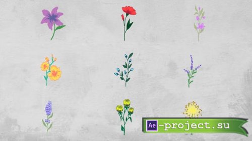 Videohive - Flowers Elements - 51586187 - Project for After Effects