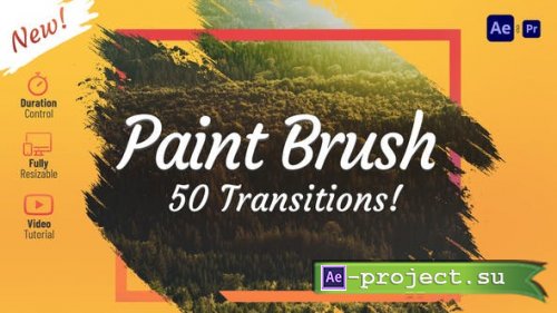 Videohive - Paint Brush Transitions - 31434194 - Project for After Effects