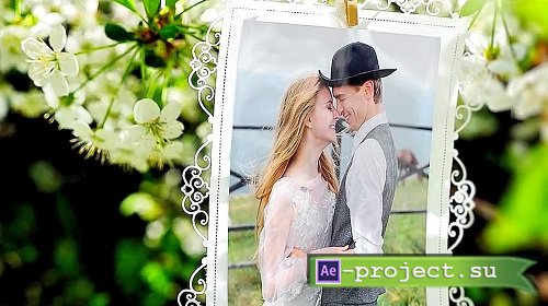 Wedding Ceremony 1053004 - Project for After Effects