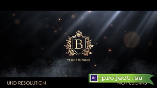 Videohive - Particle Flow Logo Reveal - 52029847 - Project for After Effects