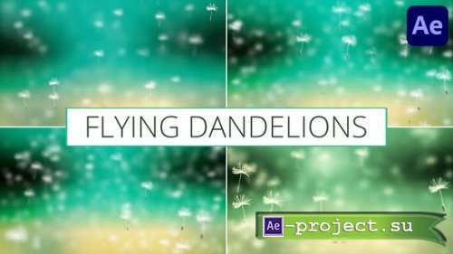 Videohive - Flying Dandelions for After Effects - 52411210 - Project for After Effects