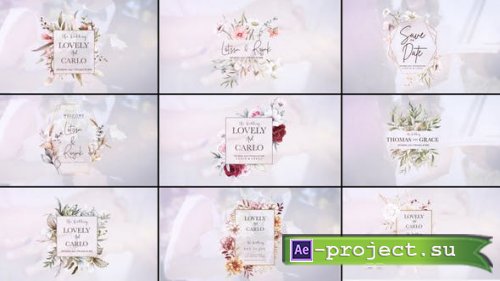 Videohive - Wedding titles - 52884323 - Project for After Effects