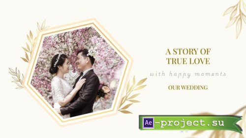 Videohive - Our Wedding - 53204050 - Project for After Effects