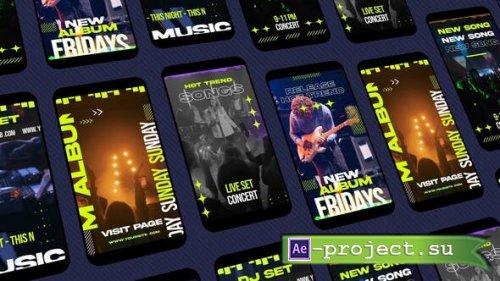 Videohive - Concert Instagram Reels - 53329339 - Project for After Effects