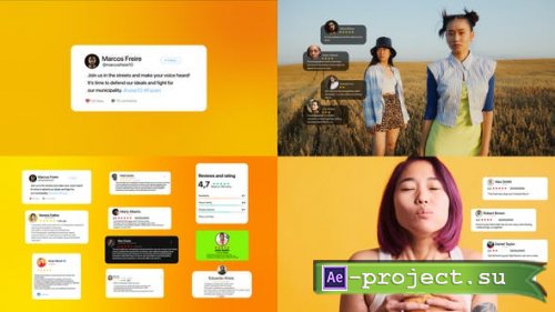 Videohive - Review / Feedback - 53406273 - Project for After Effects