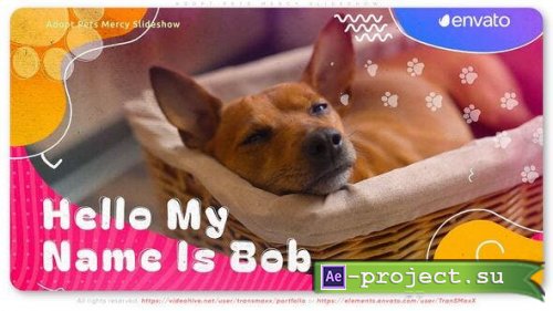 Videohive - Adopt Pets Mercy Slideshow - 53448521 - Project for After Effects