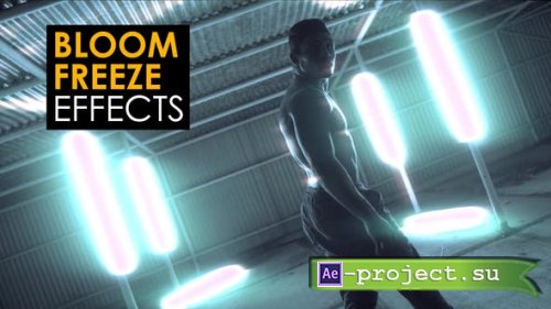 Videohive - Bloom Freeze Effects | After Effects - 53499076 - Project for After Effects