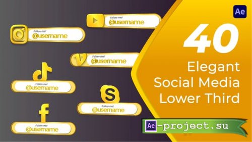 Videohive - Elegant Social Media Lower Third - 53579276 - Project for After Effects