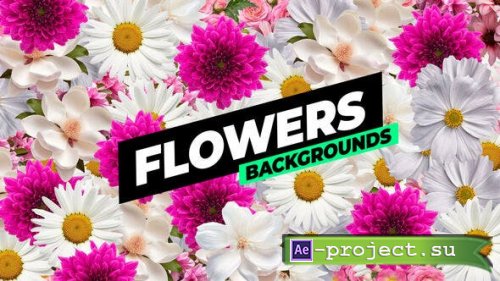 Videohive - Flowers Backgrounds - 53769754 - Project for After Effects