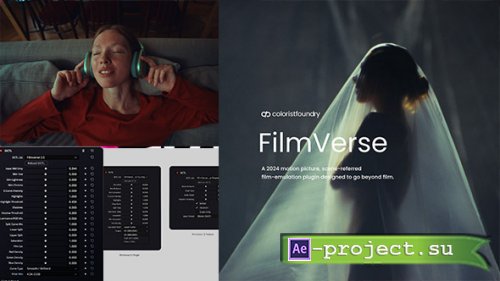 Colorist Foundry FilmVerse V1.2 Full Plugin