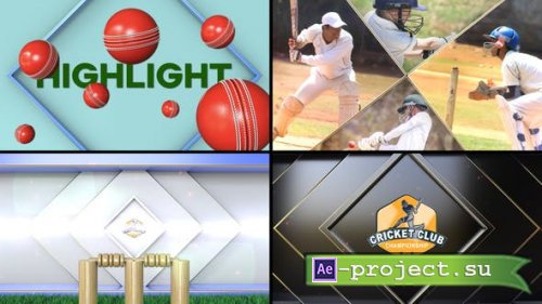 Videohive - Cricket Bumper - 53254098 - Project for After Effects