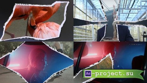 Videohive - Paper Transitions - 53818029 - Project for After Effects