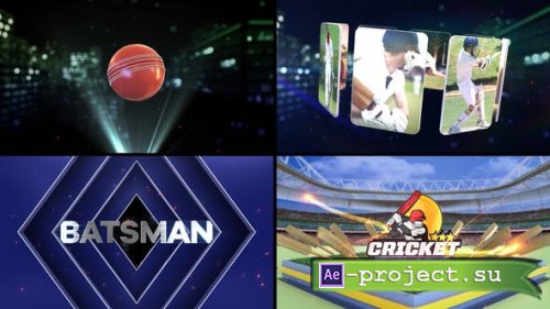 Videohive - Cricket Bumper 2 - 53528409 - Project for After Effects