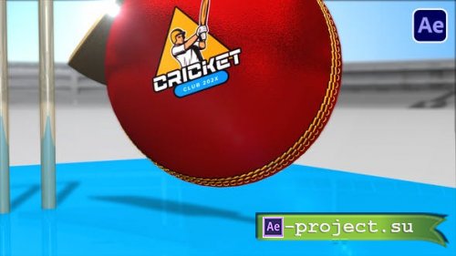 Videohive - Cricket Bumper - 54259966 - Project for After Effects