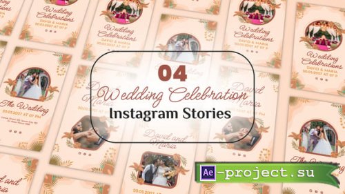 Videohive - Wedding Celebration Instagram Stories - 54326044 - Project for After Effects