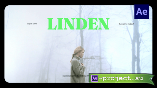 Videohive - Cinematic Vibes Typography / Ae - 54756587 - Project for After Effects