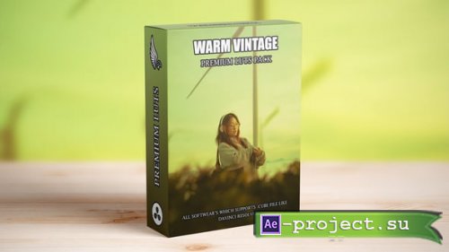 Videohive - Cinematic Warm Vintage Retro LUTs Pack - 54397732 - DaVinci Resolve Templates