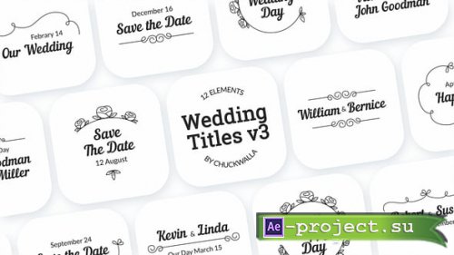 Videohive - Wedding Titles v3 - 54910366 - Project for After Effects