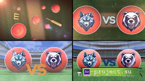 Videohive - Cricket VS - 55077693 - Project for After Effects