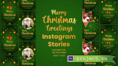 Videohive - Elegant Christmas Greetings Instagram Stories - 55195479 - Project for After Effects