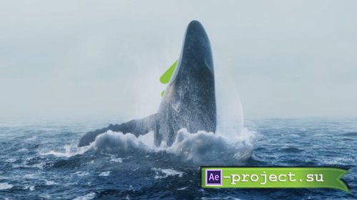 Videohive - Whale Water Splash - 55915237 - Project for After Effects