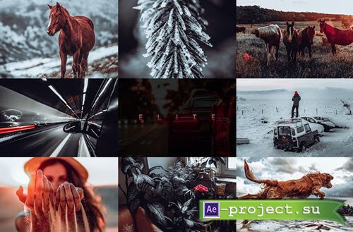 Elite Lightroom Presets